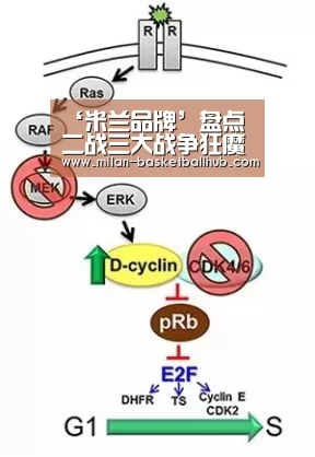 ‘米兰品牌’盘点二战三大战争狂魔,都罪大恶极但结局却不同(图1) 米兰官网