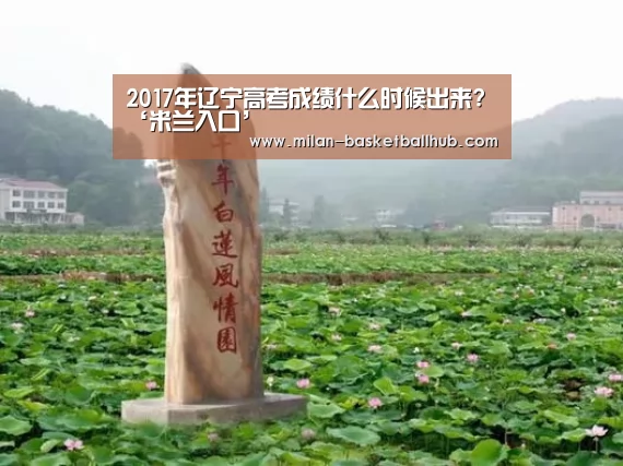 2017年辽宁高考成绩什么时候出来?‘米兰入口’(图1) 米兰入口