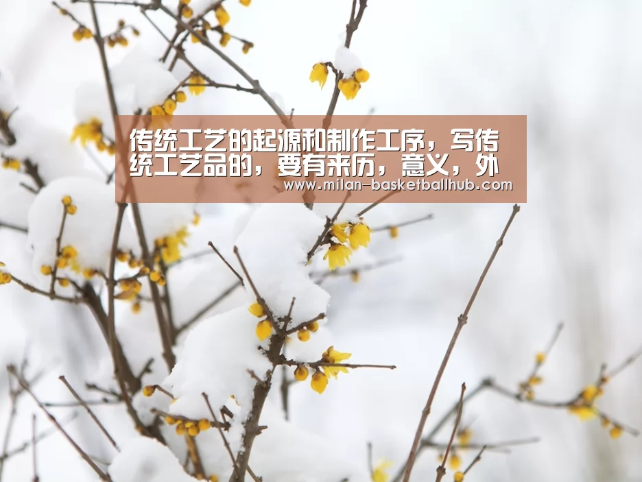 传统工艺的起源和制作工序,写传统工艺品的,要有来历,意义,外形_米兰入口(图1) 米兰平台